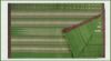 Picture of Cotton Sarees ThousandButta